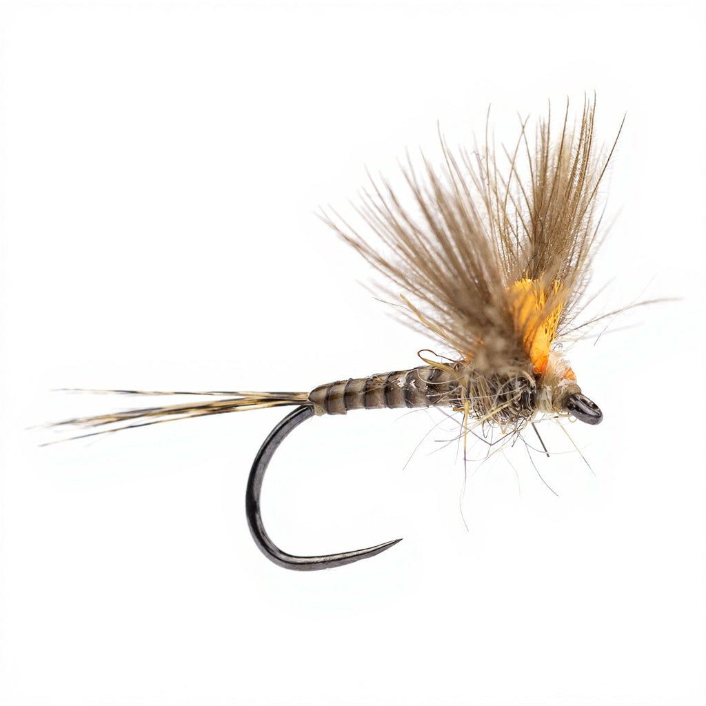Mouche Devaux Émergente JBE 05