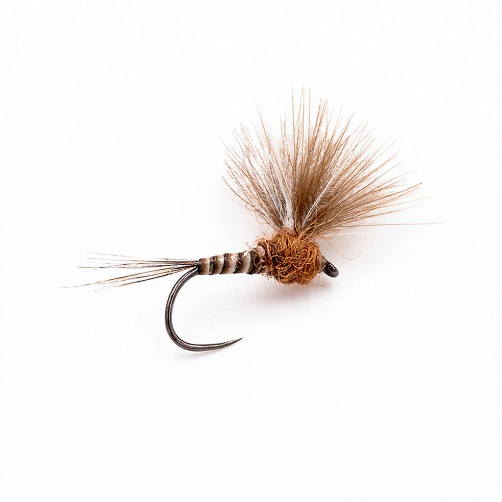 Mouche Devaux Émergente JBE 09
