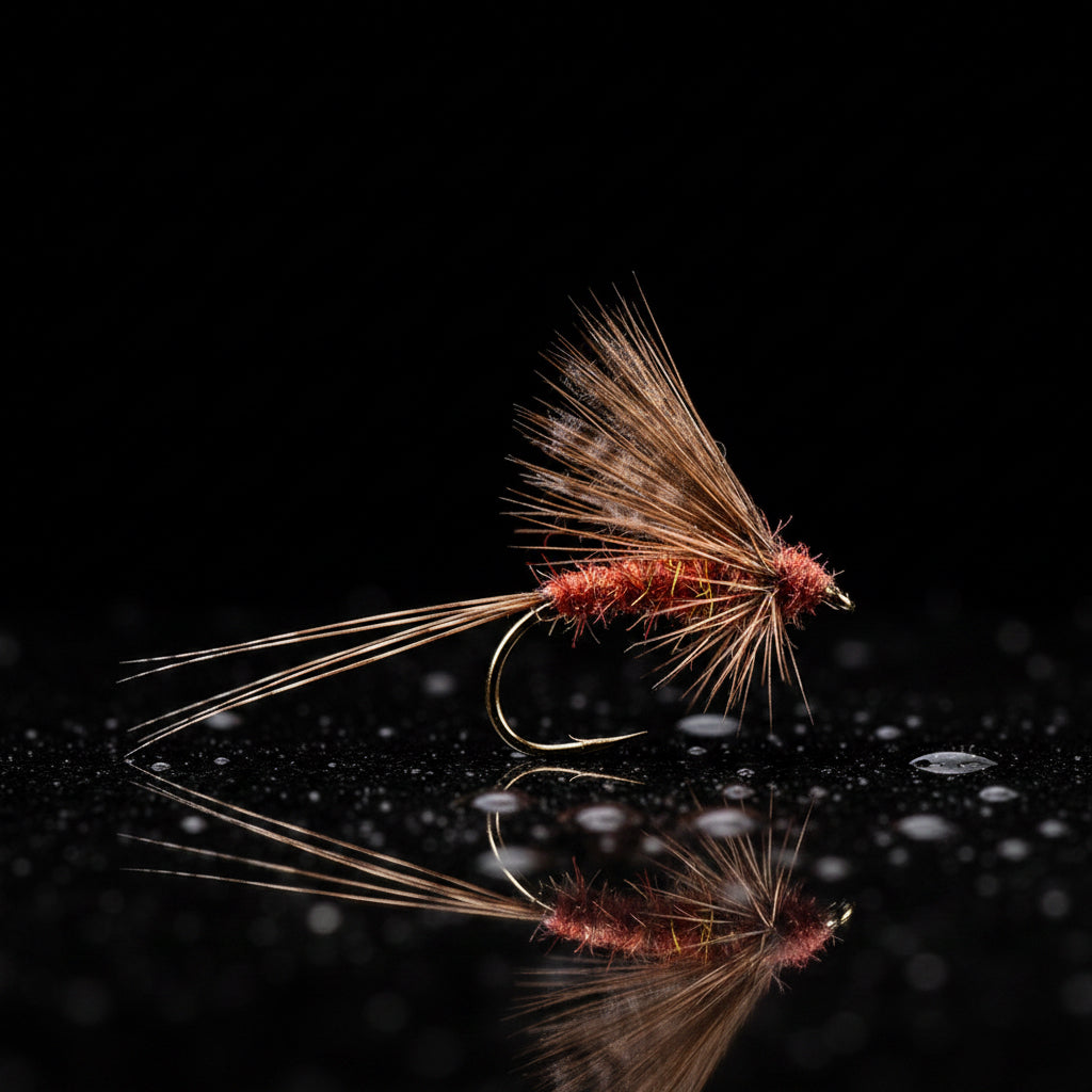Mouche Devaux Émergente JBE 51
