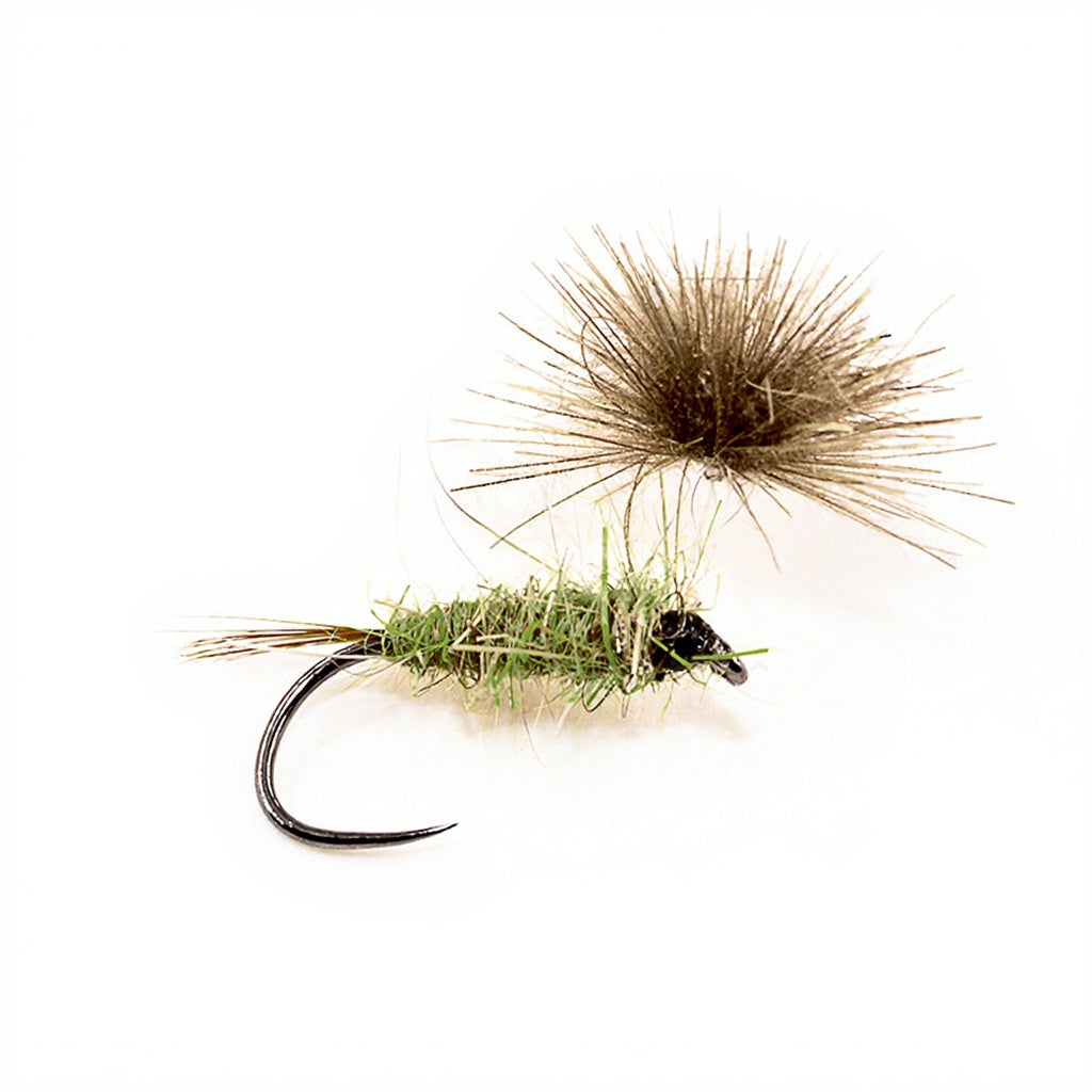 Mouche Devaux Émergente JBE 63