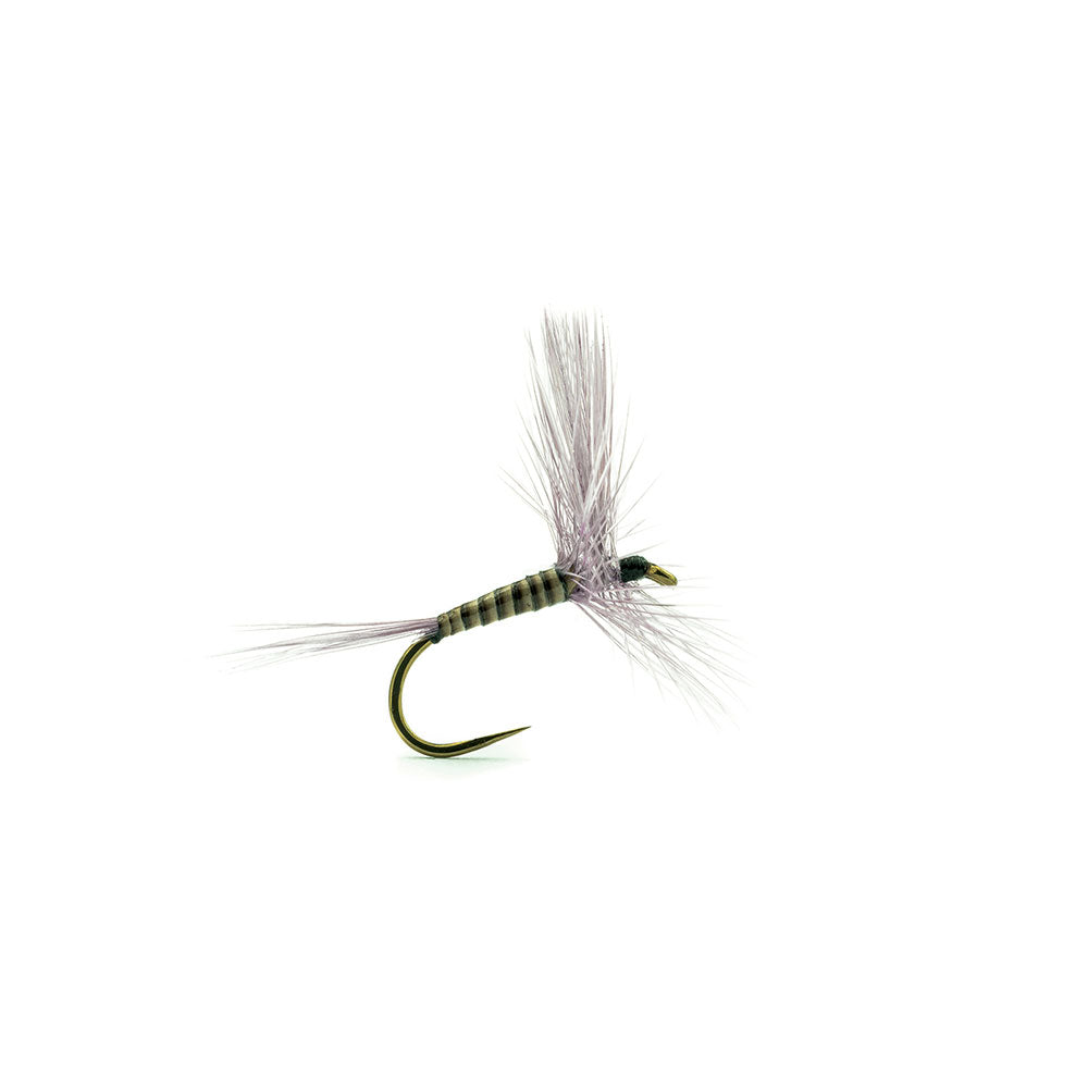 Mouche DEVAUX Sèche 918 - photo 2
