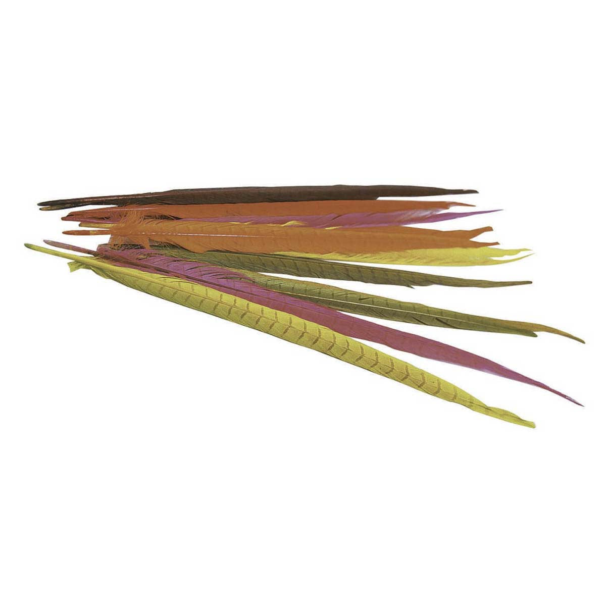 JMC Queue de Faisan Teal Gold Olive - FT00505J