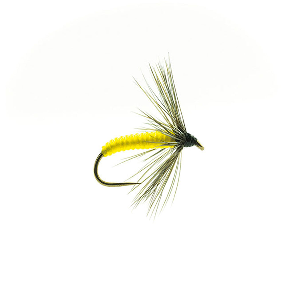 Mouche noyée Devaux JBNO 02