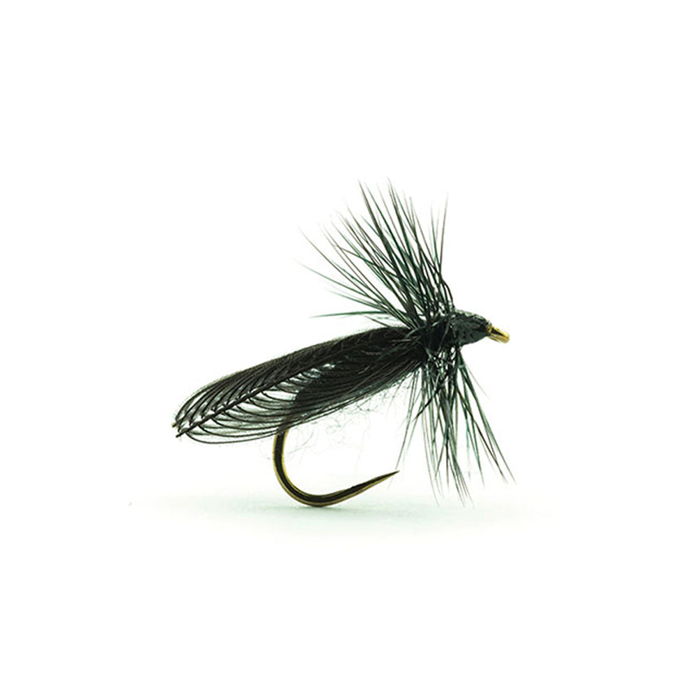 Mouche DEVAUX Terrestre JBSIAL01 - photo 2