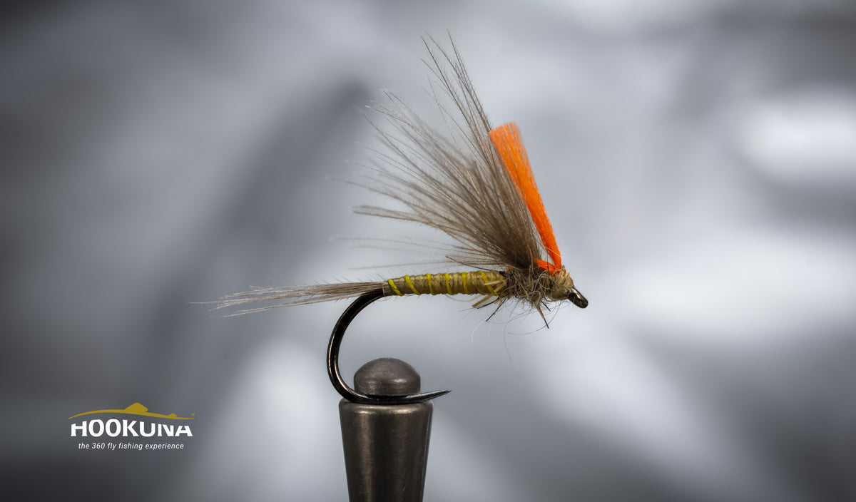 Petit Voilier – Olive – Collection Yannick Rivière