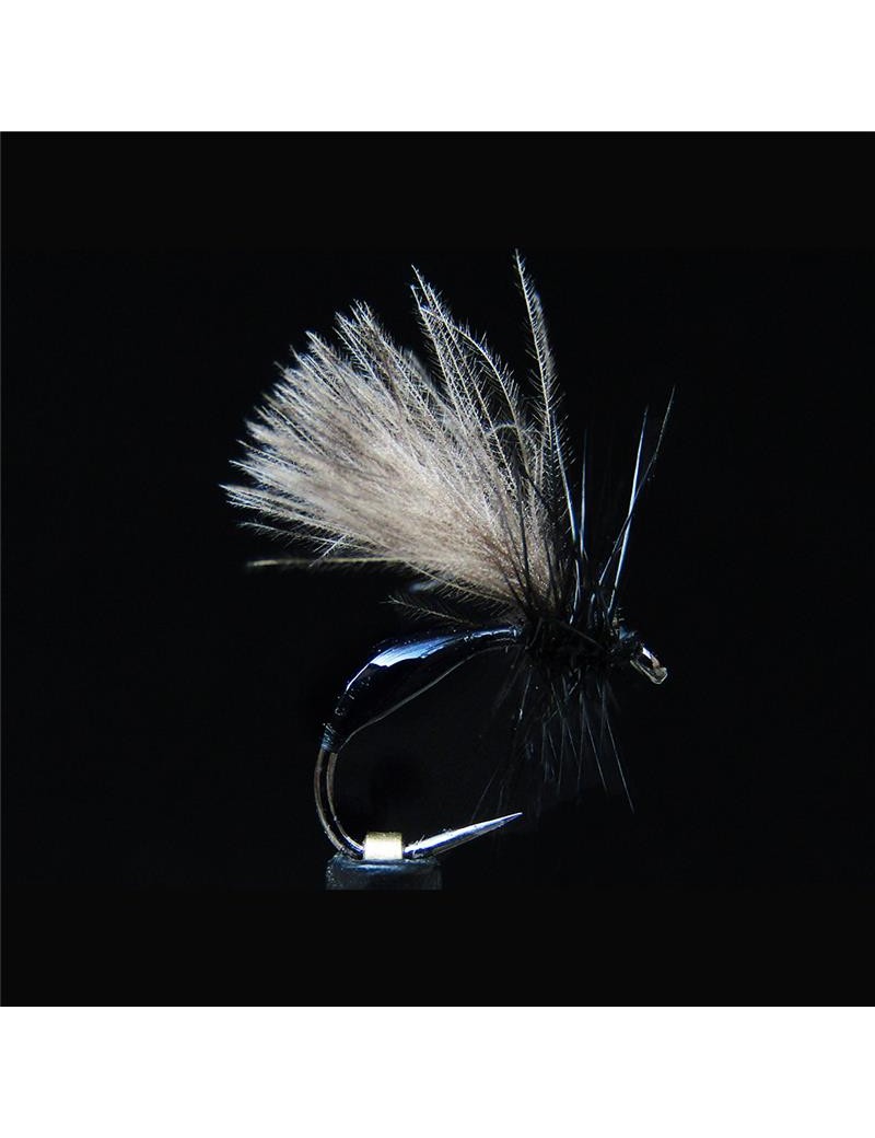 Mouche JMC Terrestre TER 2 BL