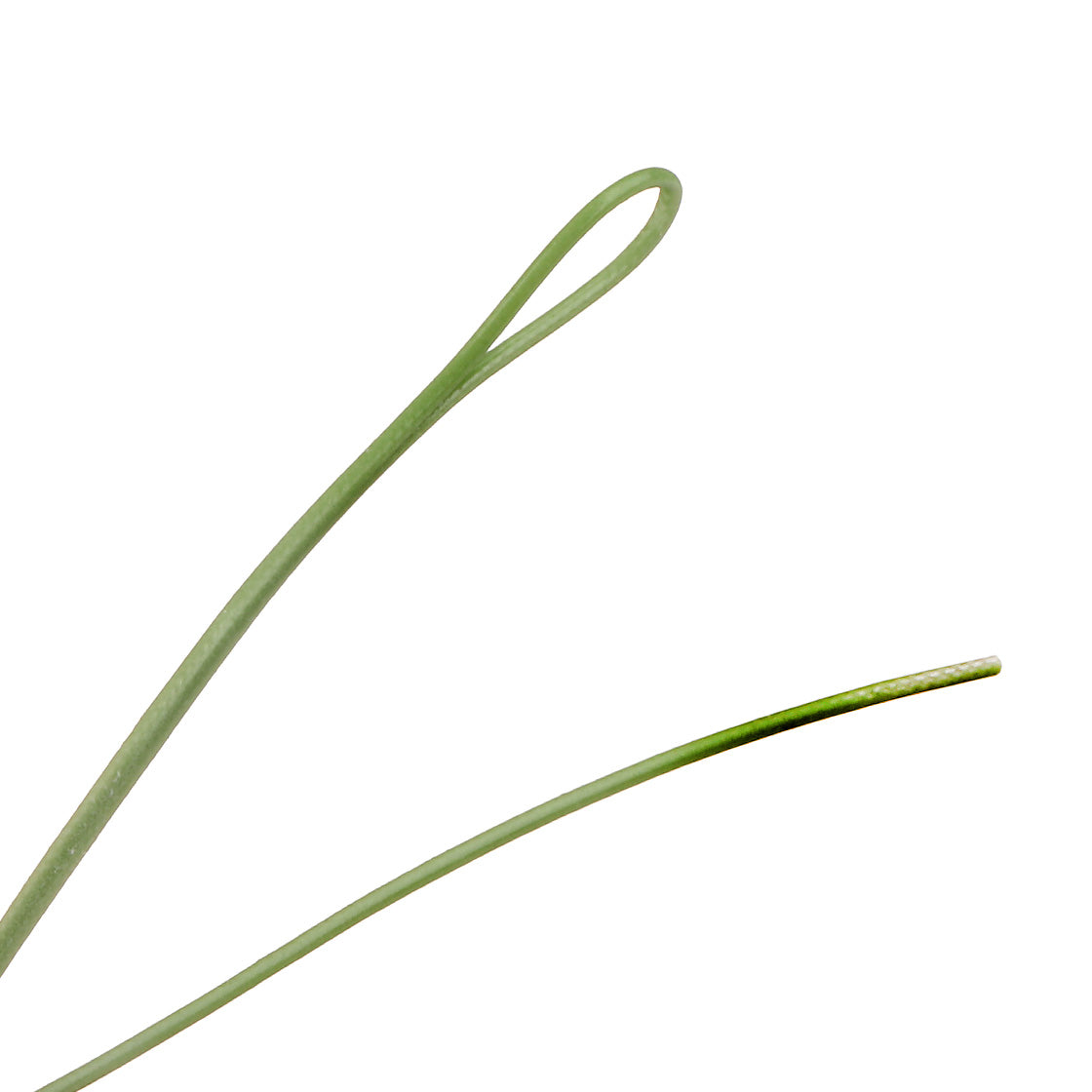 Soie JMC Wave WF flottante — vert mousse — détail micro-loop