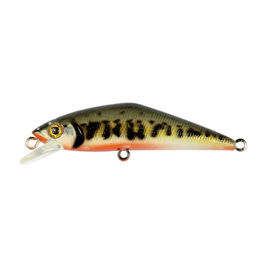 Smith D-Contact 50 SP coloris V1