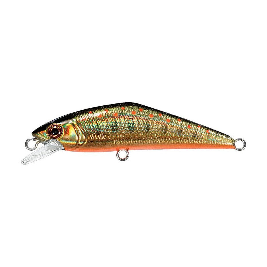 Smith D-Contact FES 50 coloris 23