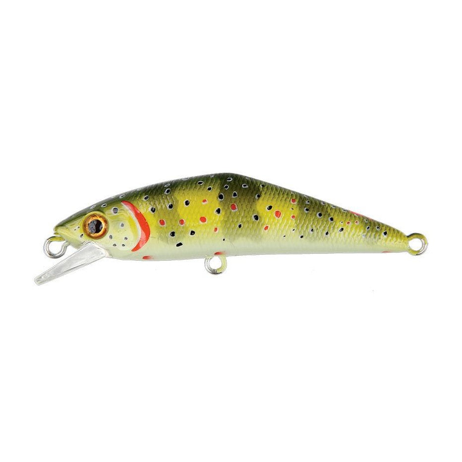 Smith D-Contact FES 50 coloris T1
